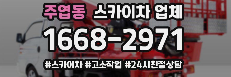 주엽동 스카이차 업체