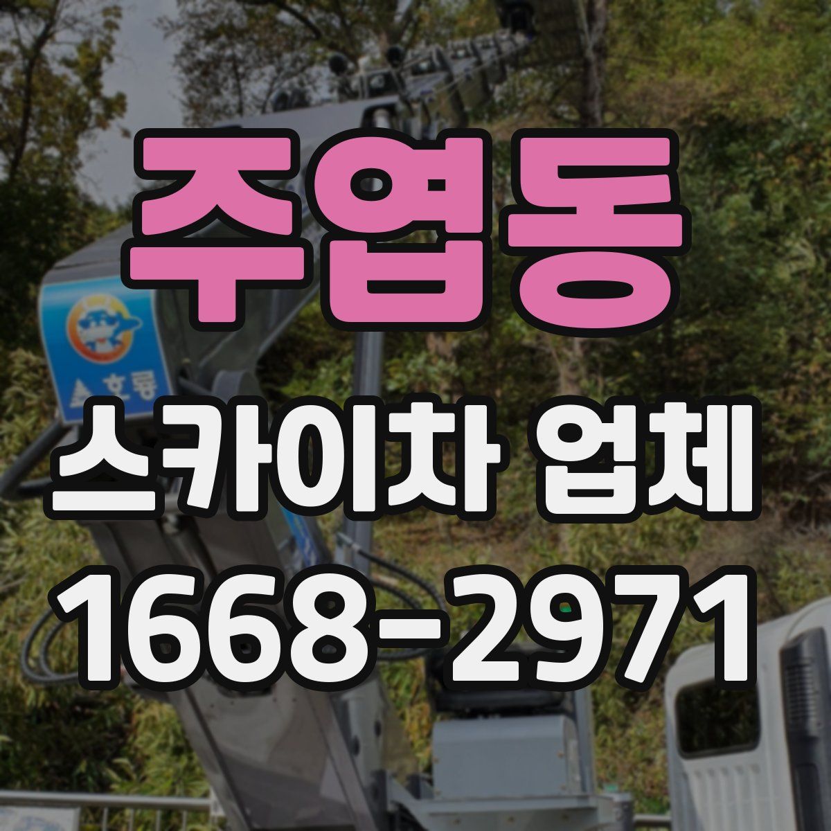 주엽동 스카이차 업체