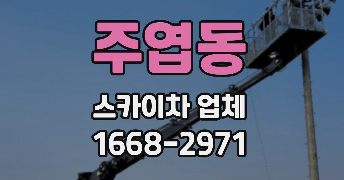 주엽동 스카이차 업체