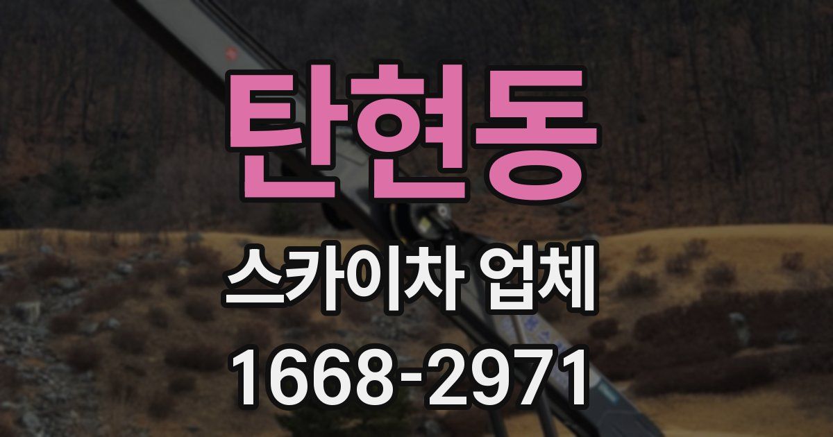 탄현동 스카이차 업체