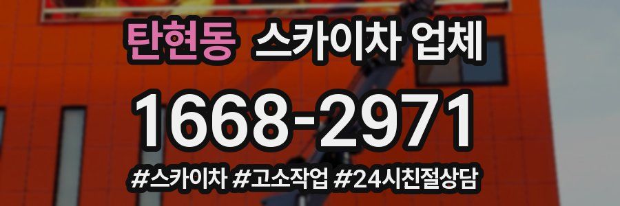 탄현동 스카이차 업체