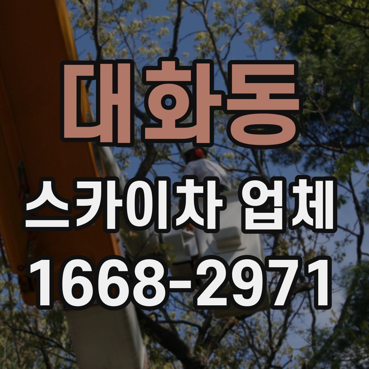 대화동 스카이차 업체