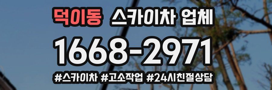 덕이동 스카이차 업체