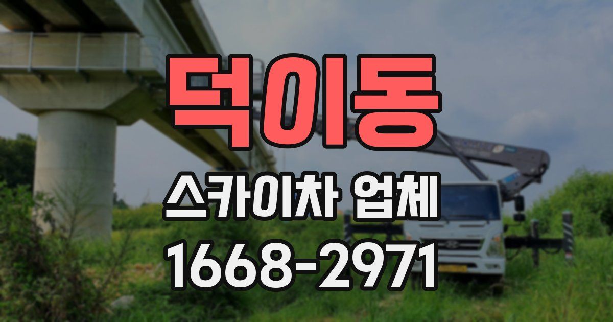 덕이동 스카이차 업체
