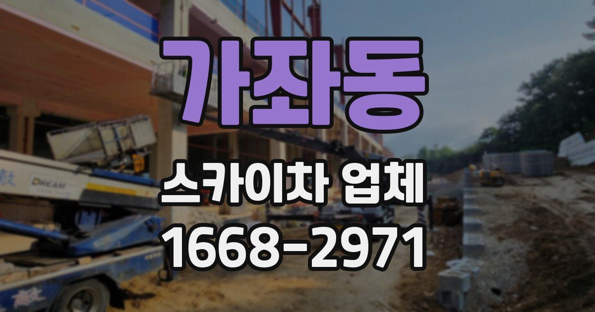 가좌동 스카이차 업체