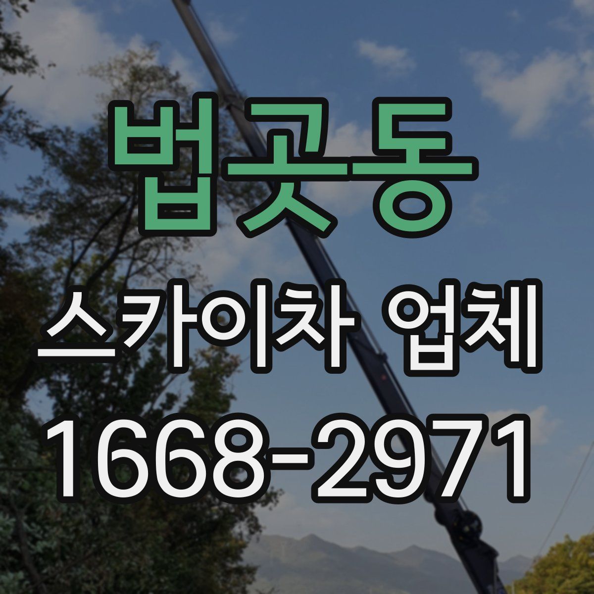 법곳동 스카이차 업체