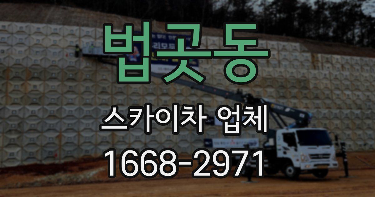 법곳동 스카이차 업체