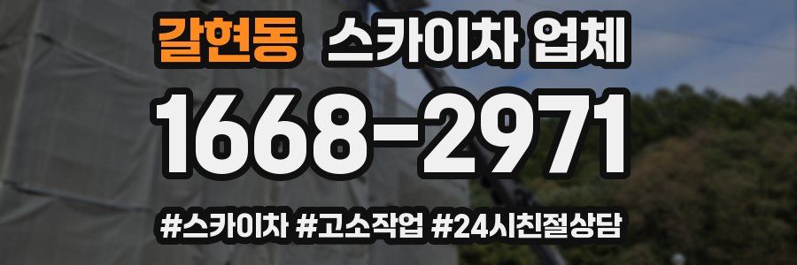 갈현동 스카이차 업체
