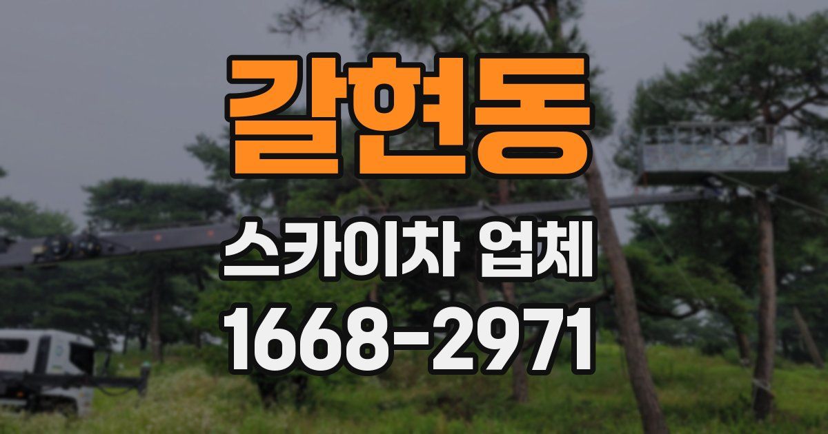 갈현동 스카이차 업체