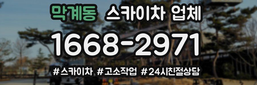 막계동 스카이차 업체