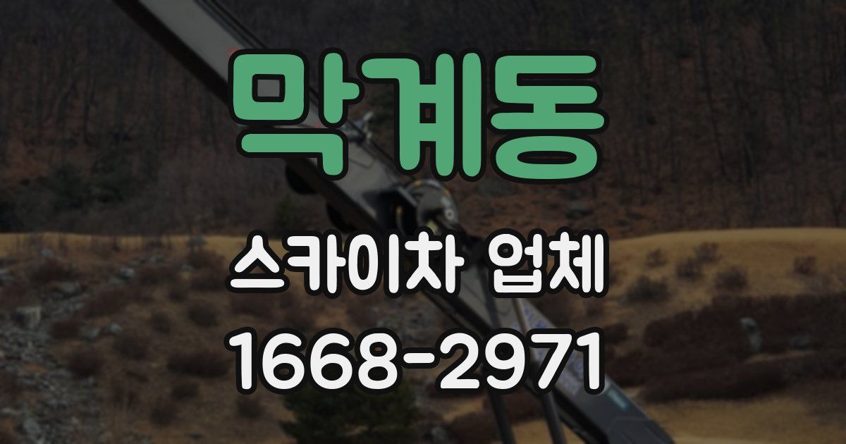 막계동 스카이차 업체