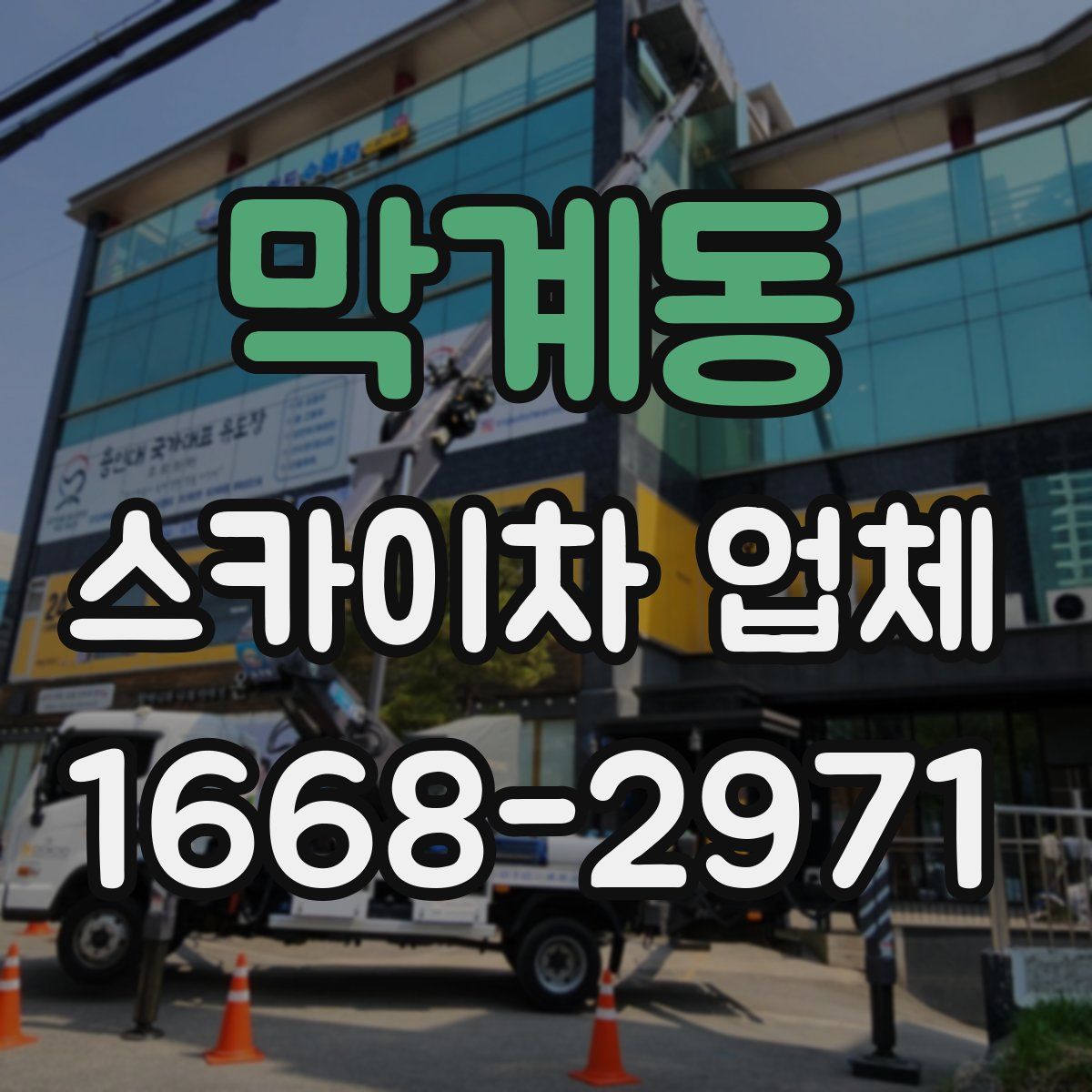 막계동 스카이차 업체