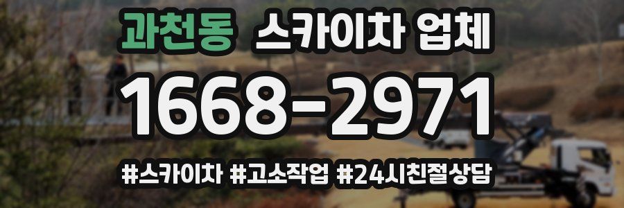과천동 스카이차 업체