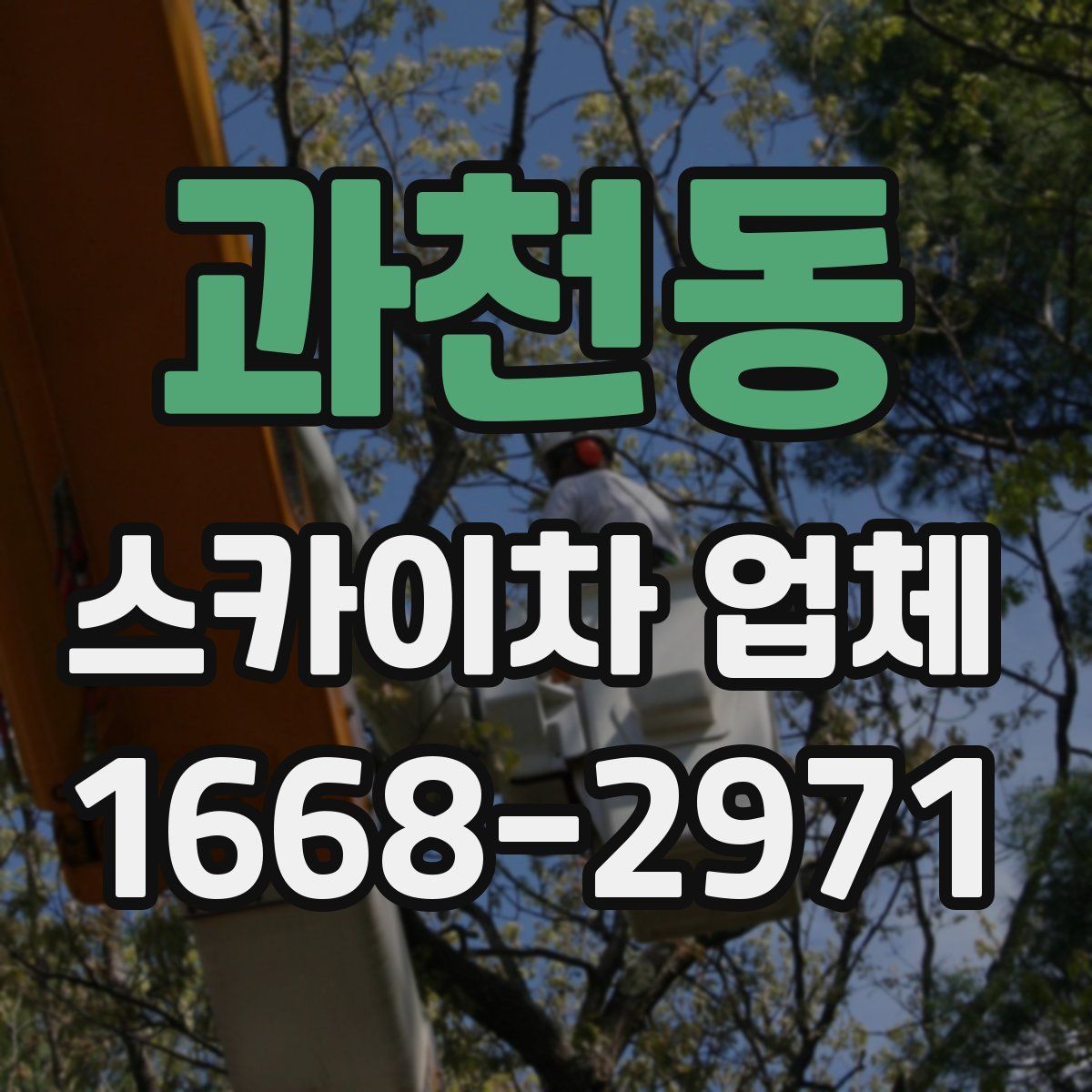 과천동 스카이차 업체