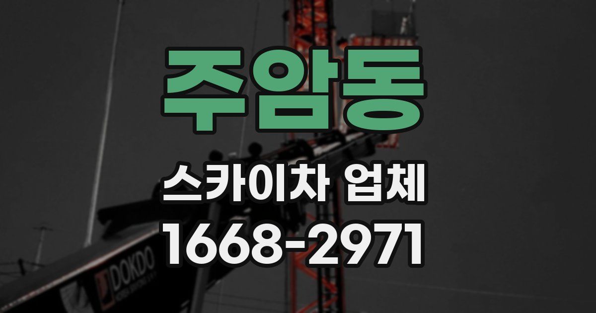주암동 스카이차 업체