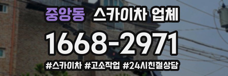 중앙동 스카이차 업체