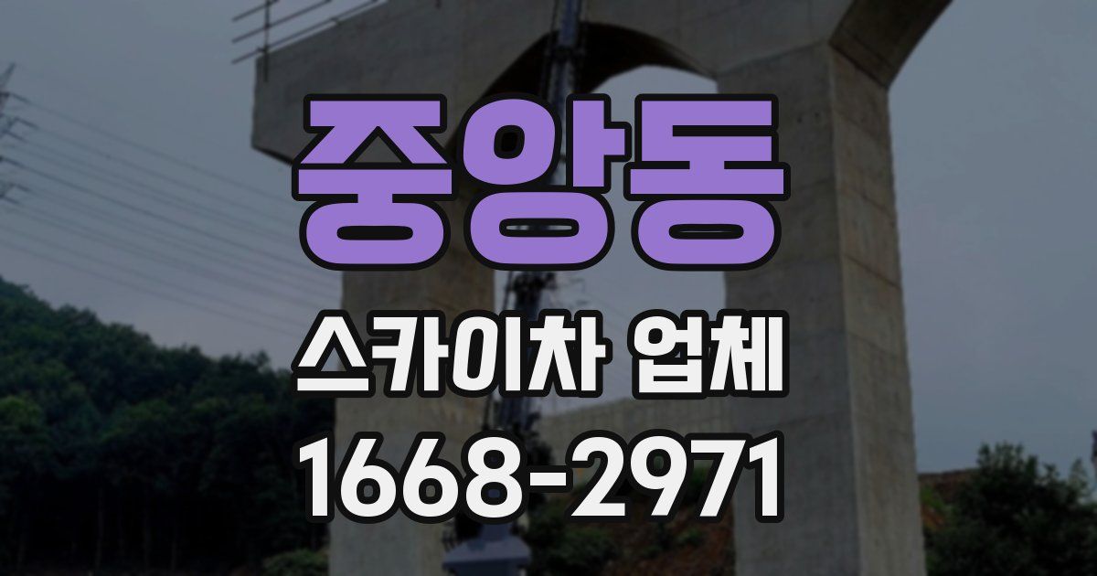 중앙동 스카이차 업체