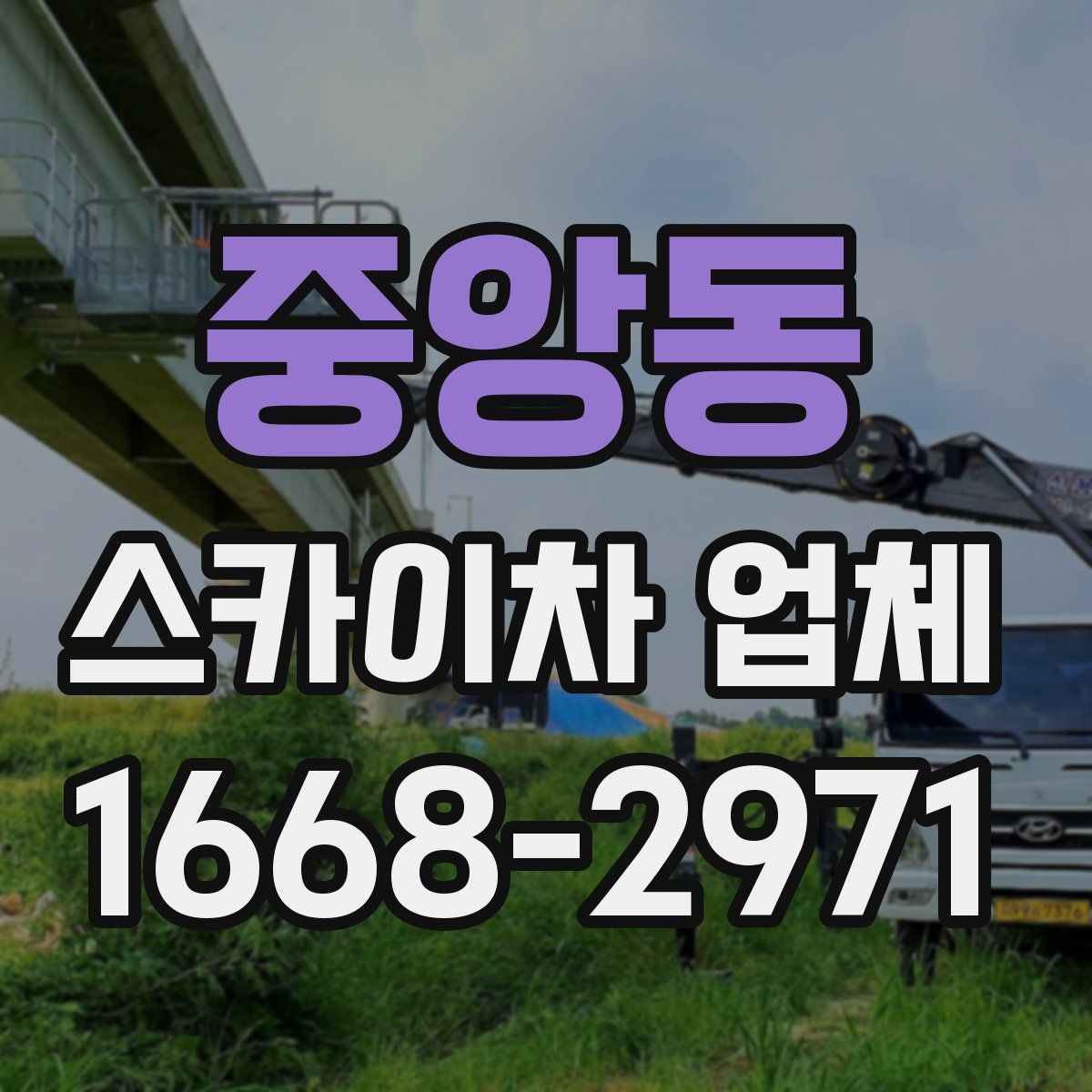 중앙동 스카이차 업체