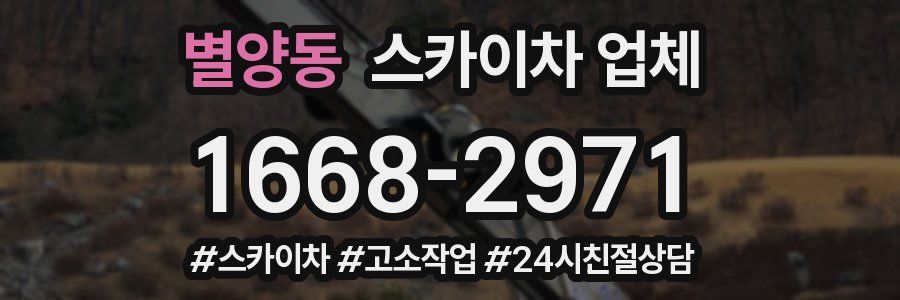 별양동 스카이차 업체