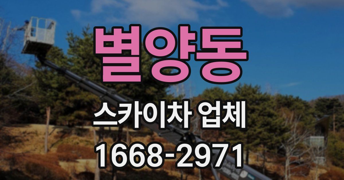별양동 스카이차 업체
