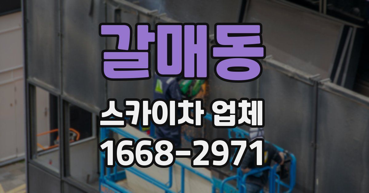 갈매동 스카이차 업체