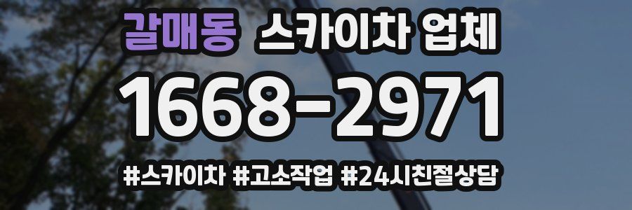 갈매동 스카이차 업체
