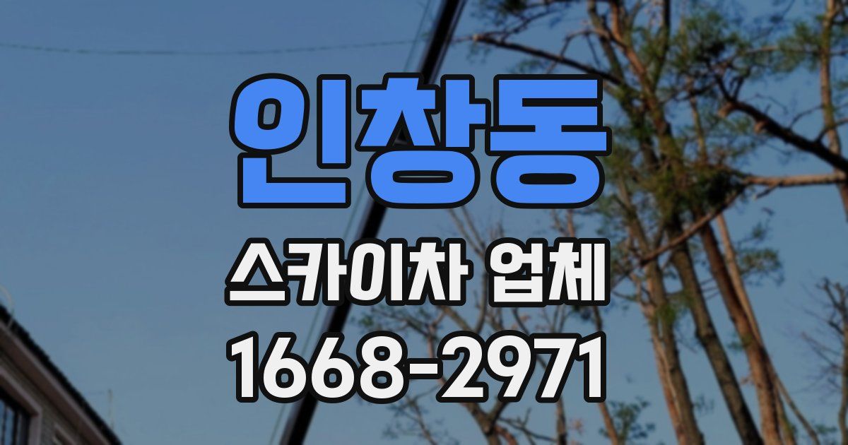 인창동 스카이차 업체