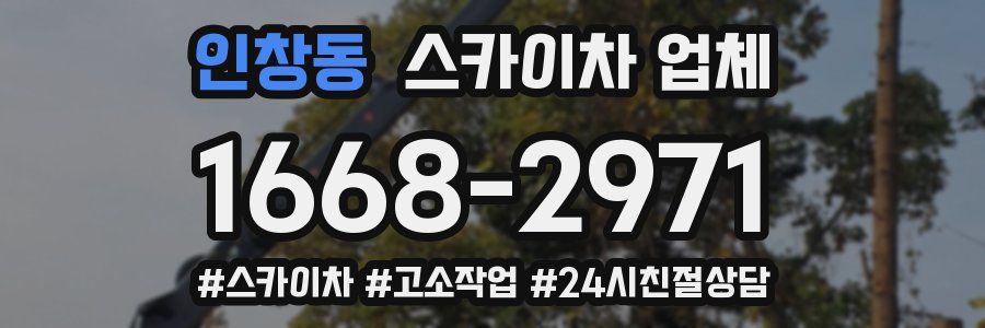 인창동 스카이차 업체
