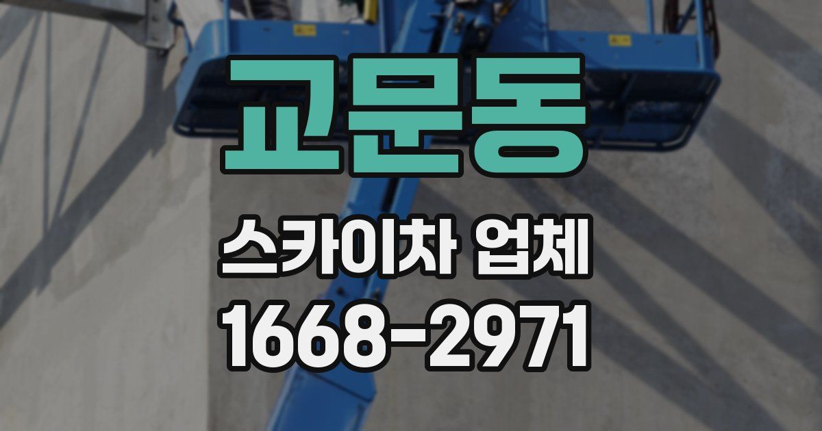 교문동 스카이차 업체