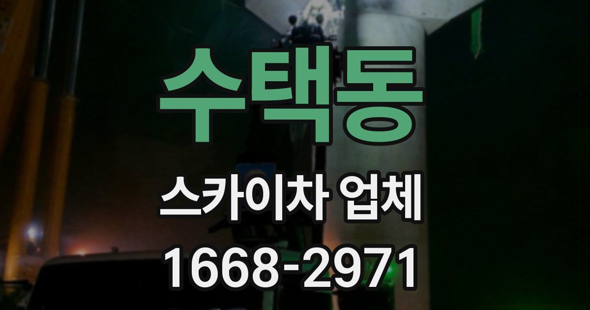 수택동 스카이차 업체