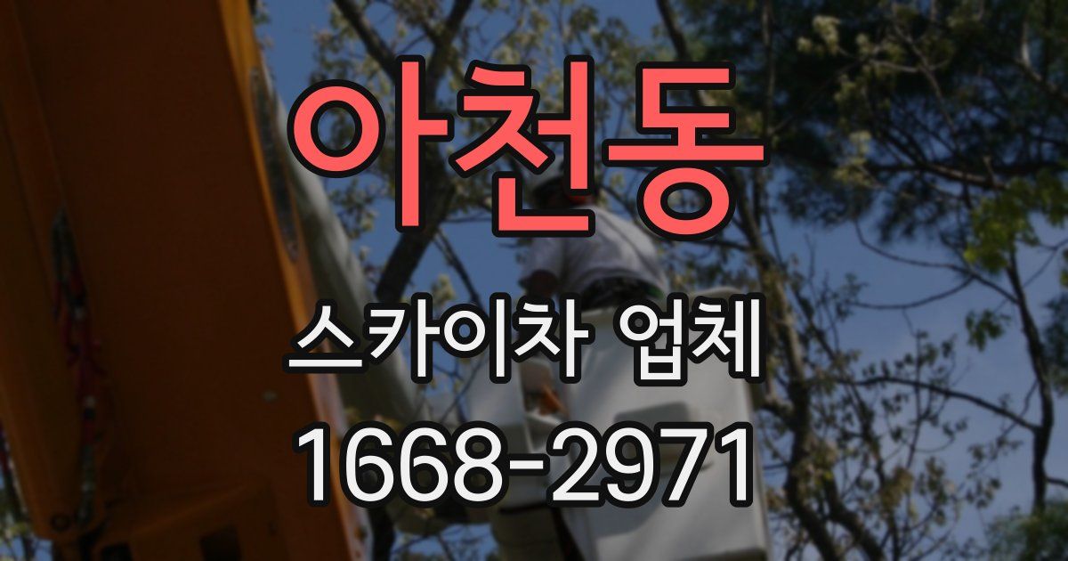 아천동 스카이차 업체