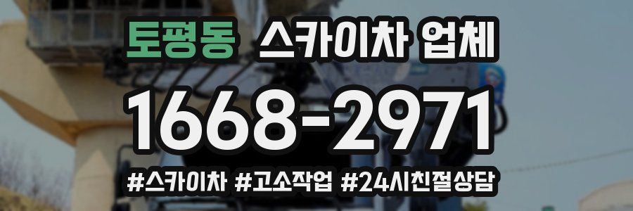 토평동 스카이차 업체