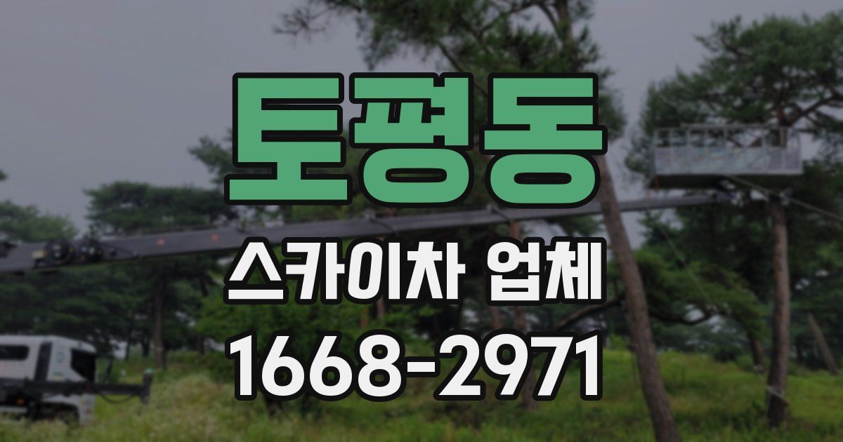 토평동 스카이차 업체