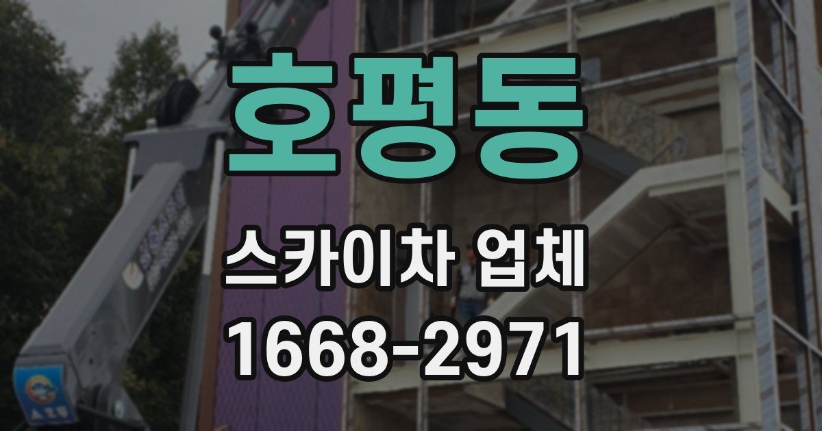 호평동 스카이차 업체