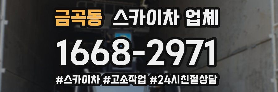 금곡동 스카이차 업체