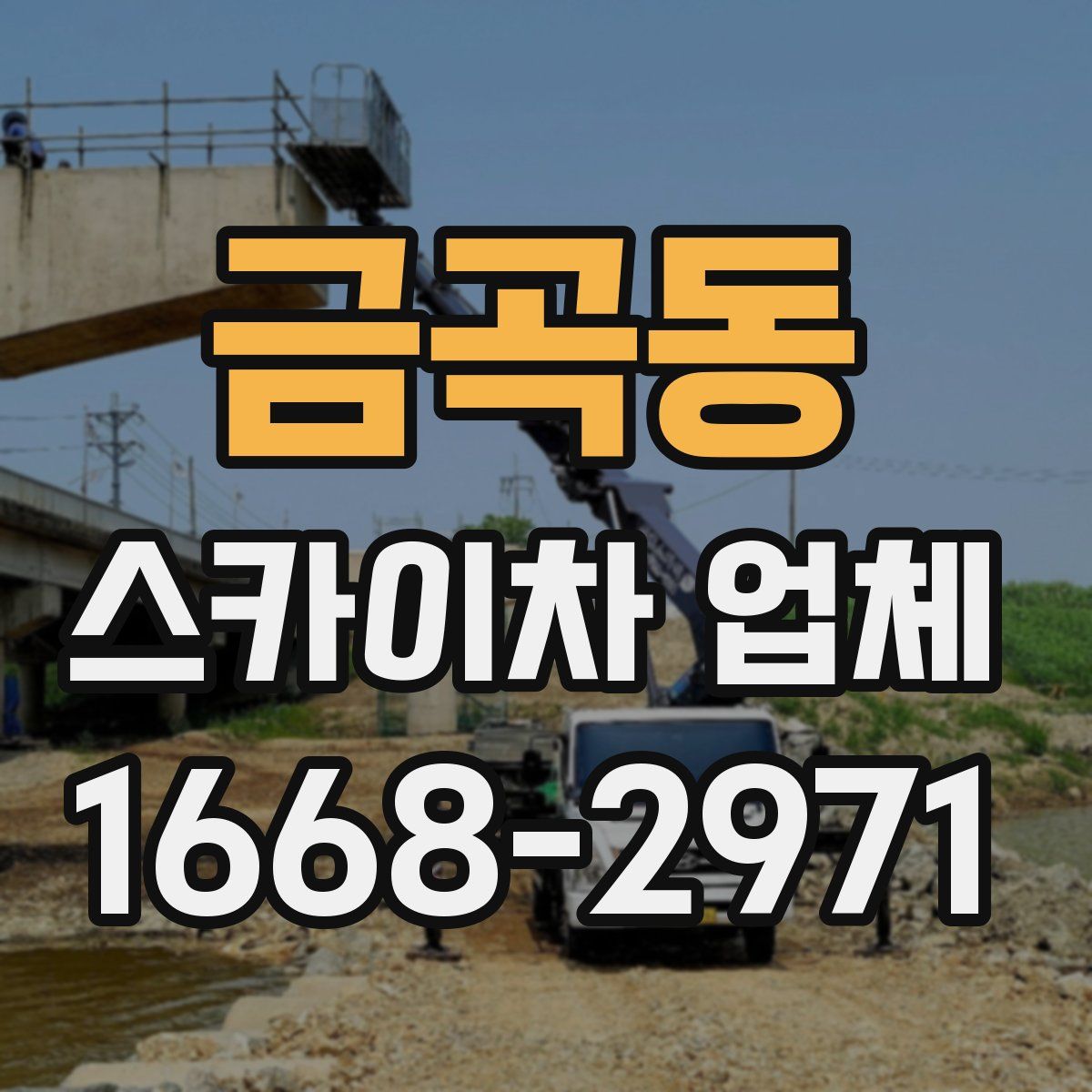 금곡동 스카이차 업체