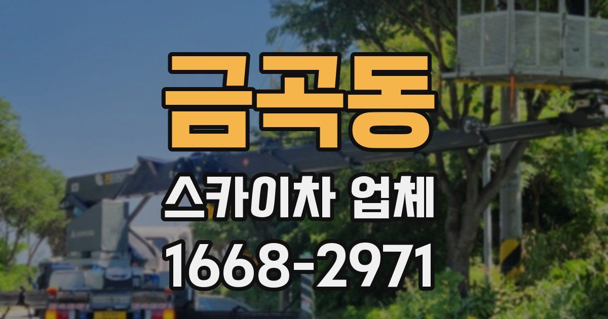 금곡동 스카이차 업체
