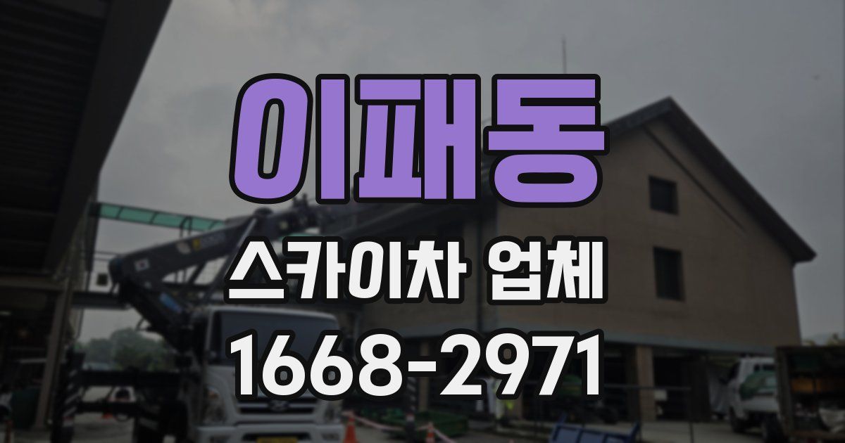 이패동 스카이차 업체