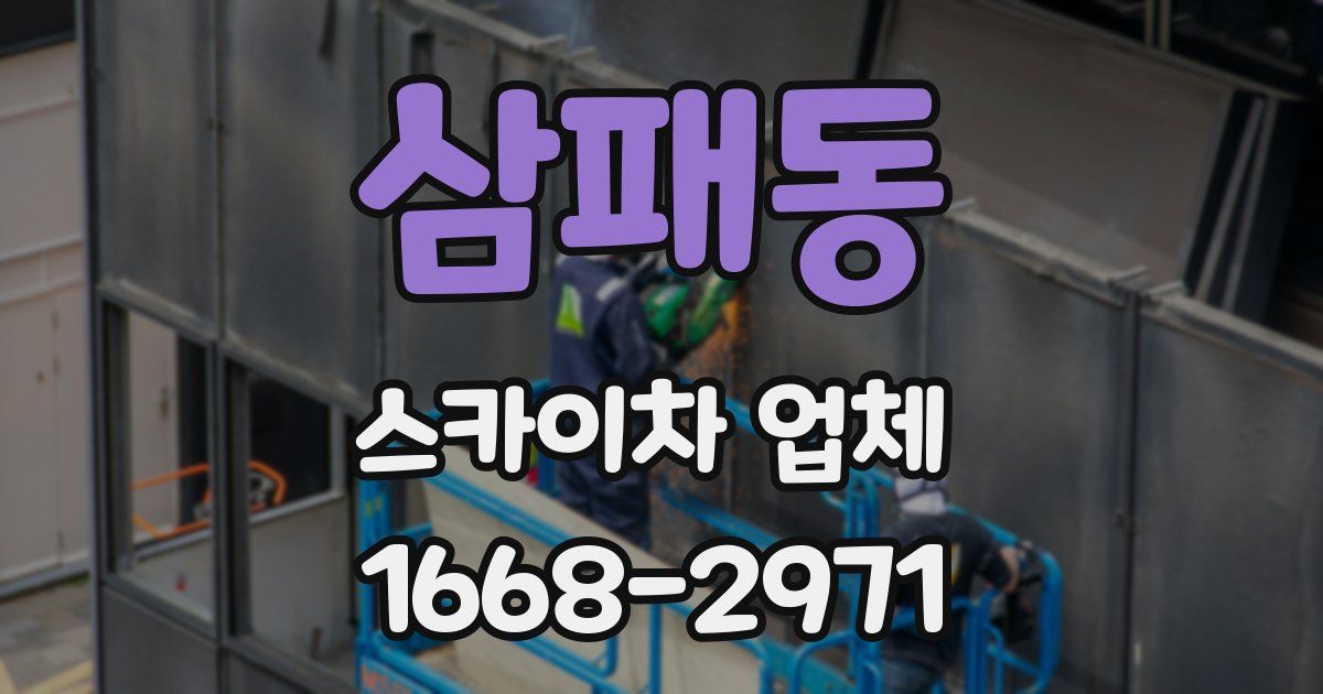 삼패동 스카이차 업체