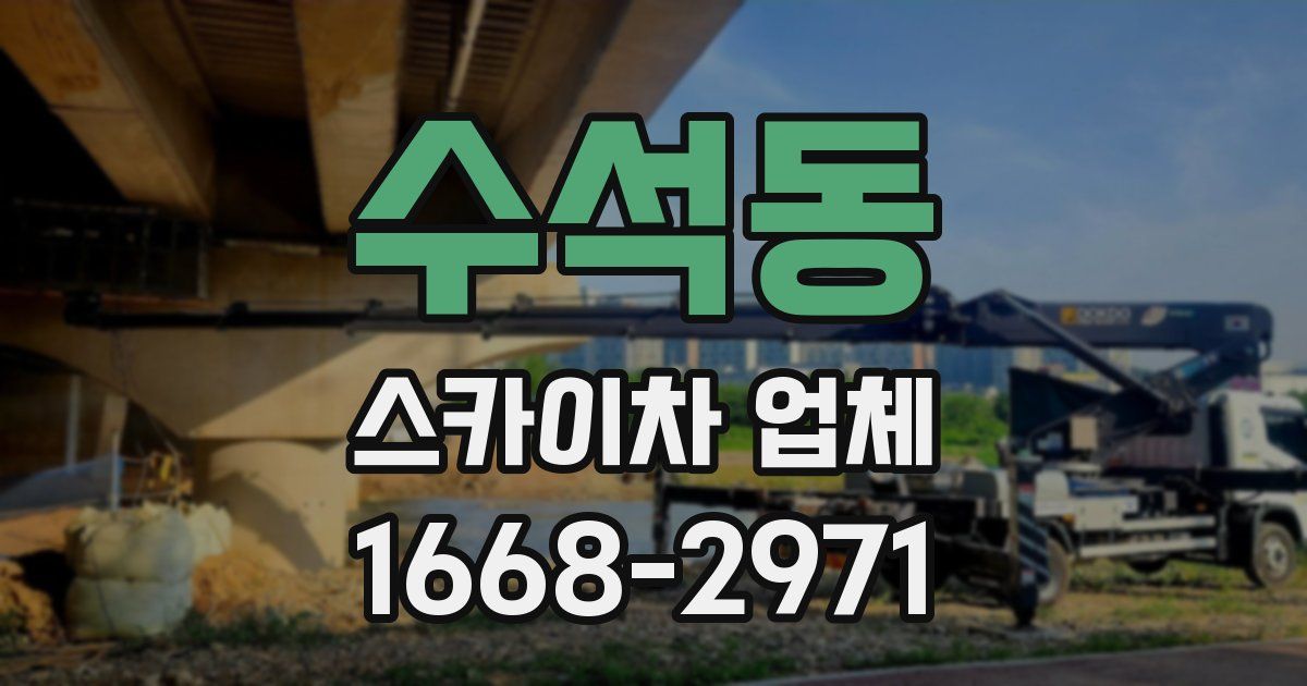 수석동 스카이차 업체