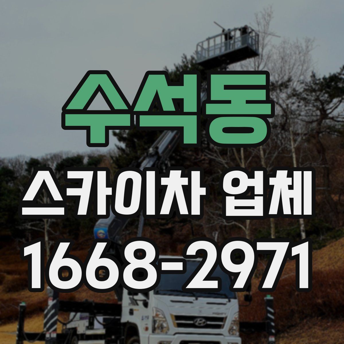 수석동 스카이차 업체