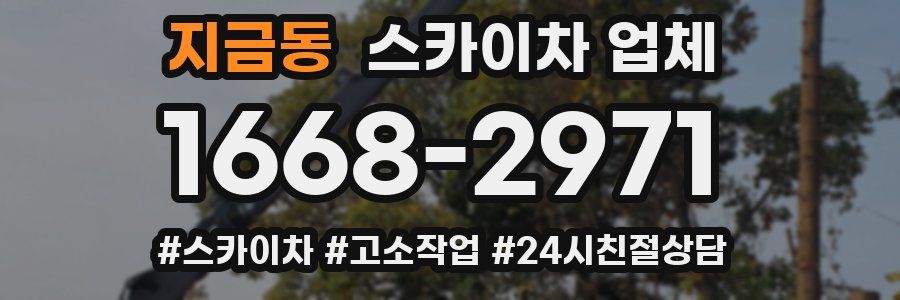 지금동 스카이차 업체
