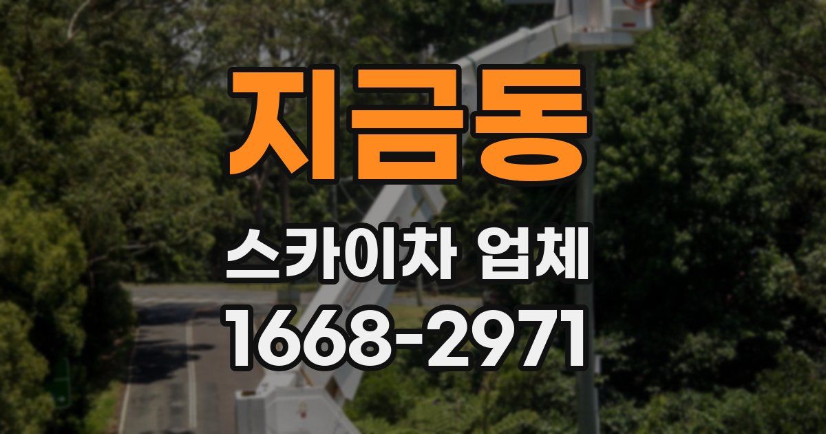 지금동 스카이차 업체