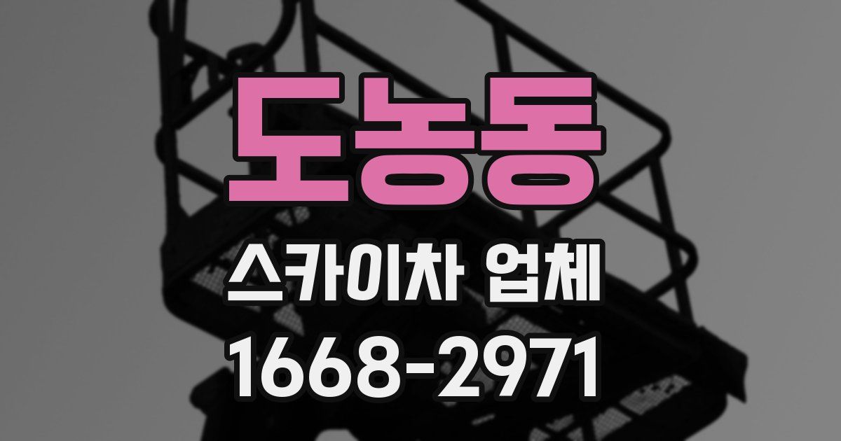 도농동 스카이차 업체