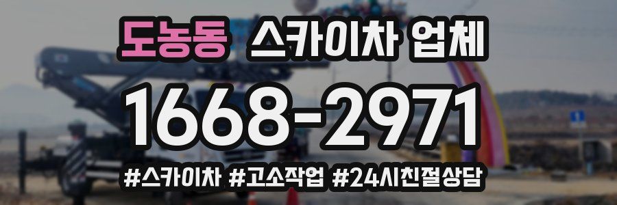 도농동 스카이차 업체