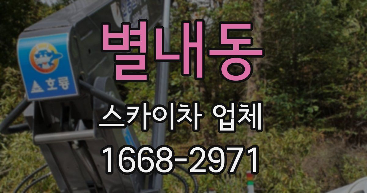 별내동 스카이차 업체