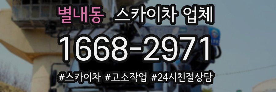 별내동 스카이차 업체