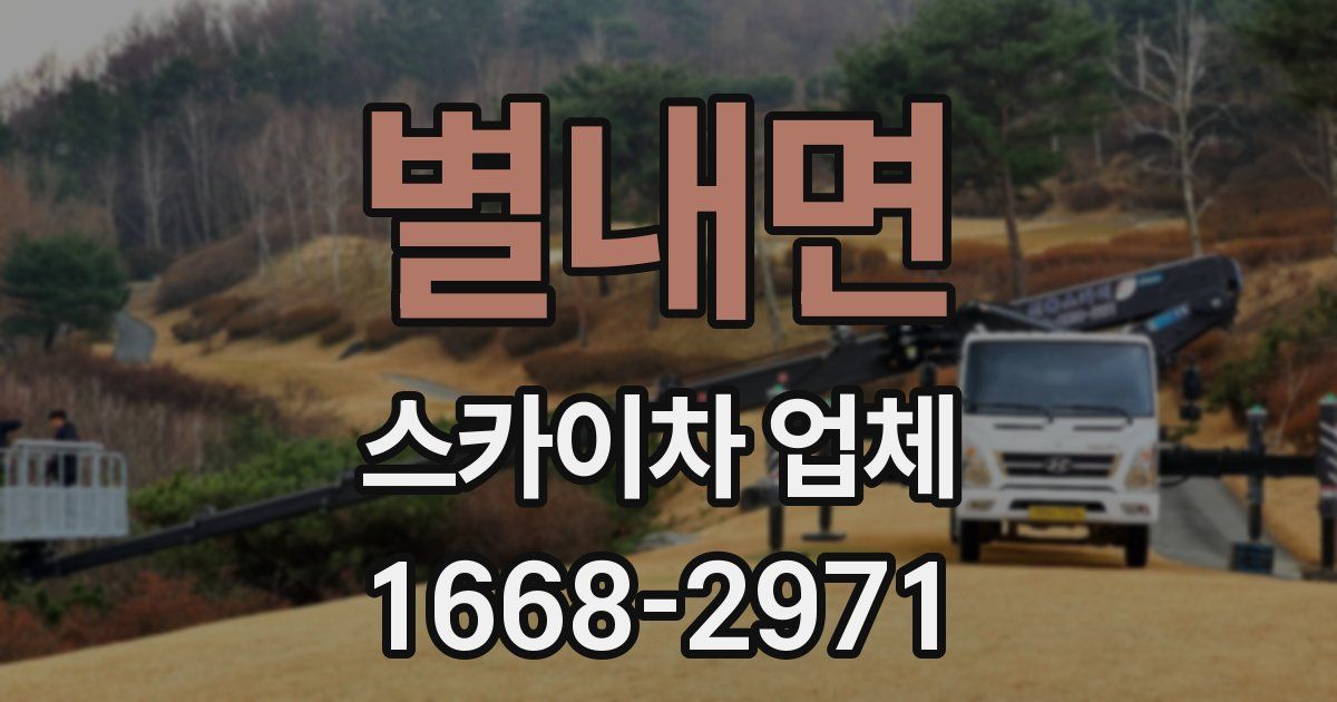 별내면 스카이차 업체