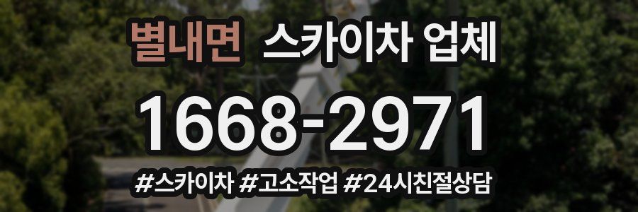 별내면 스카이차 업체