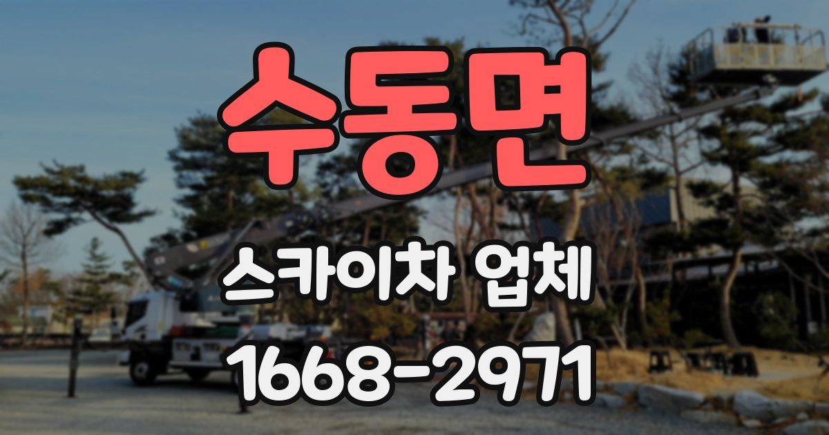수동면 스카이차 업체